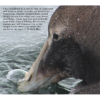 People of A Feather - Feathers and Ice Soundtrack - Image 3